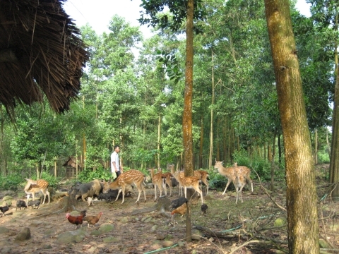 Một thoáng Phong Điền 